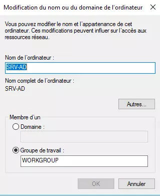 Renommez votre machine, cliquez sur Ok puis redémarrez